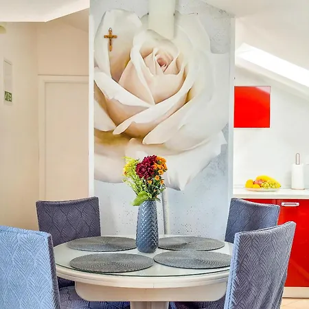 New! Apartament Promajna